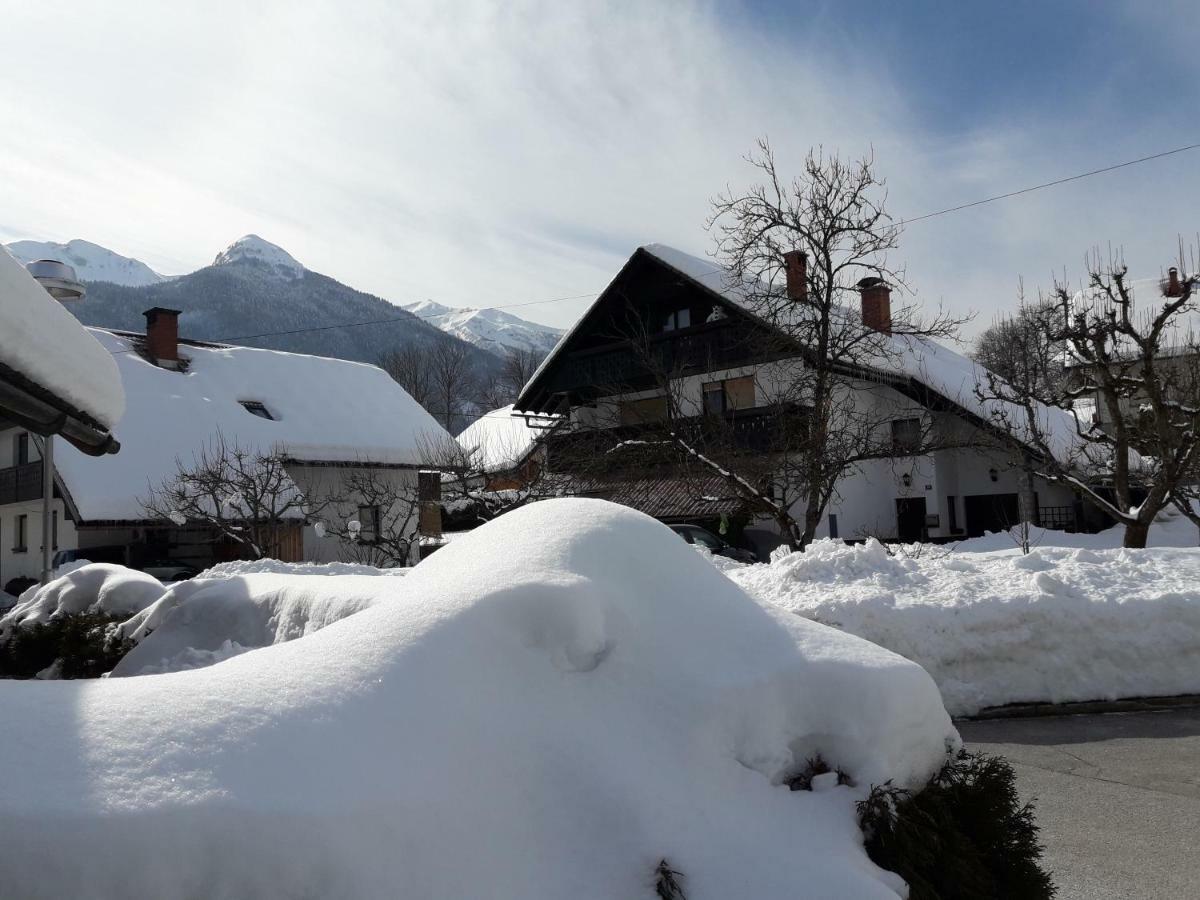 Apartament Snežak  Bohinj Zewnętrze zdjęcie