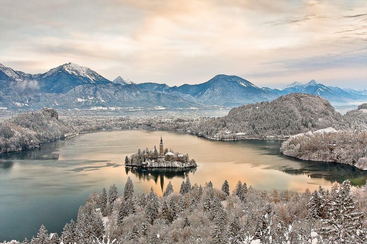 Apartament Snežak  Bohinj Zewnętrze zdjęcie